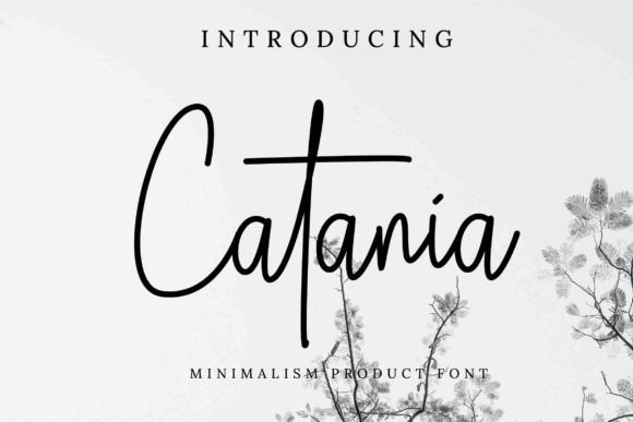 Bring Warmth to Your Shop with the Catania Typeface
