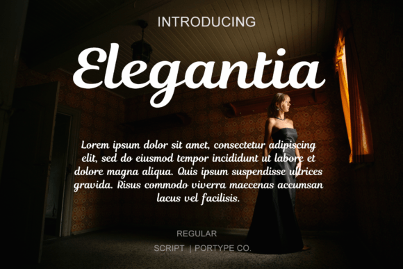 Elegantia Font for Branding Projects