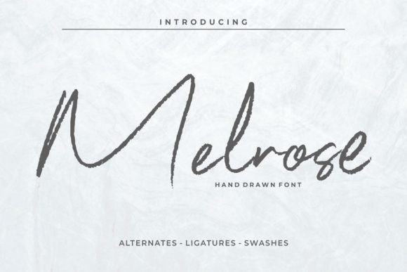 Melrose: The Signature Script Font for Bold Brand Identities